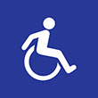Disability Access